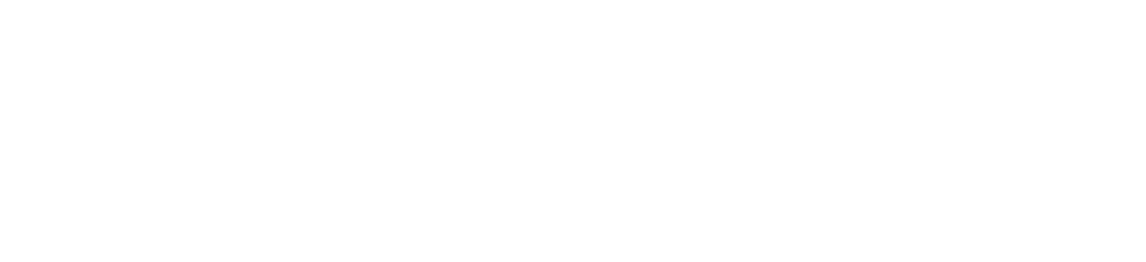 Ceylearn Academy Logo